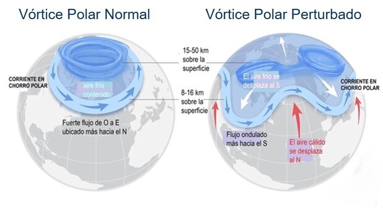 Estructura estable y perturbada del vórtice polar Ártico. Fuente: NOAA, 2025.